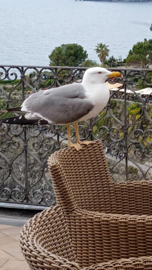 Alla Porta Rossa Manarola Zewnętrze zdjęcie